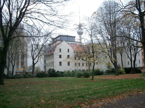 CIMG1965