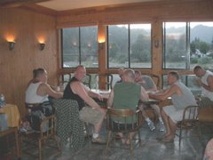 Its a Lazy Bear feeding frenzy!
