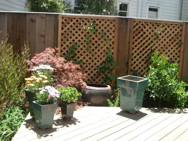 The Landscapers plant a whole new garden