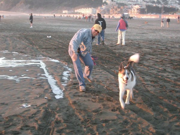 Playing on the Beach