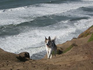 Jocko @ Fort Funston
